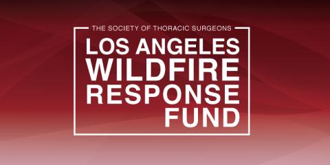 LA Wildfires Response Fund