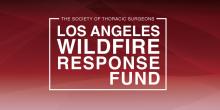 LA Wildfires Response Fund